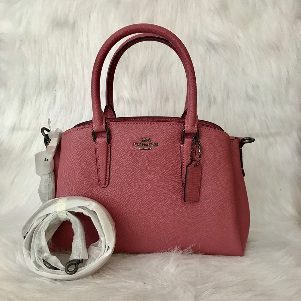 Coach Mini Sage Carryall